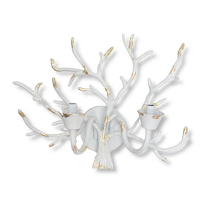 Dana Gibson White Coral Sconce
