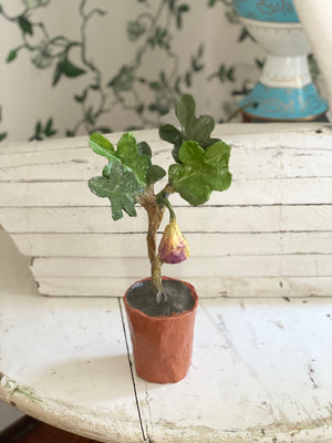 Dana Gibson Potted Fig