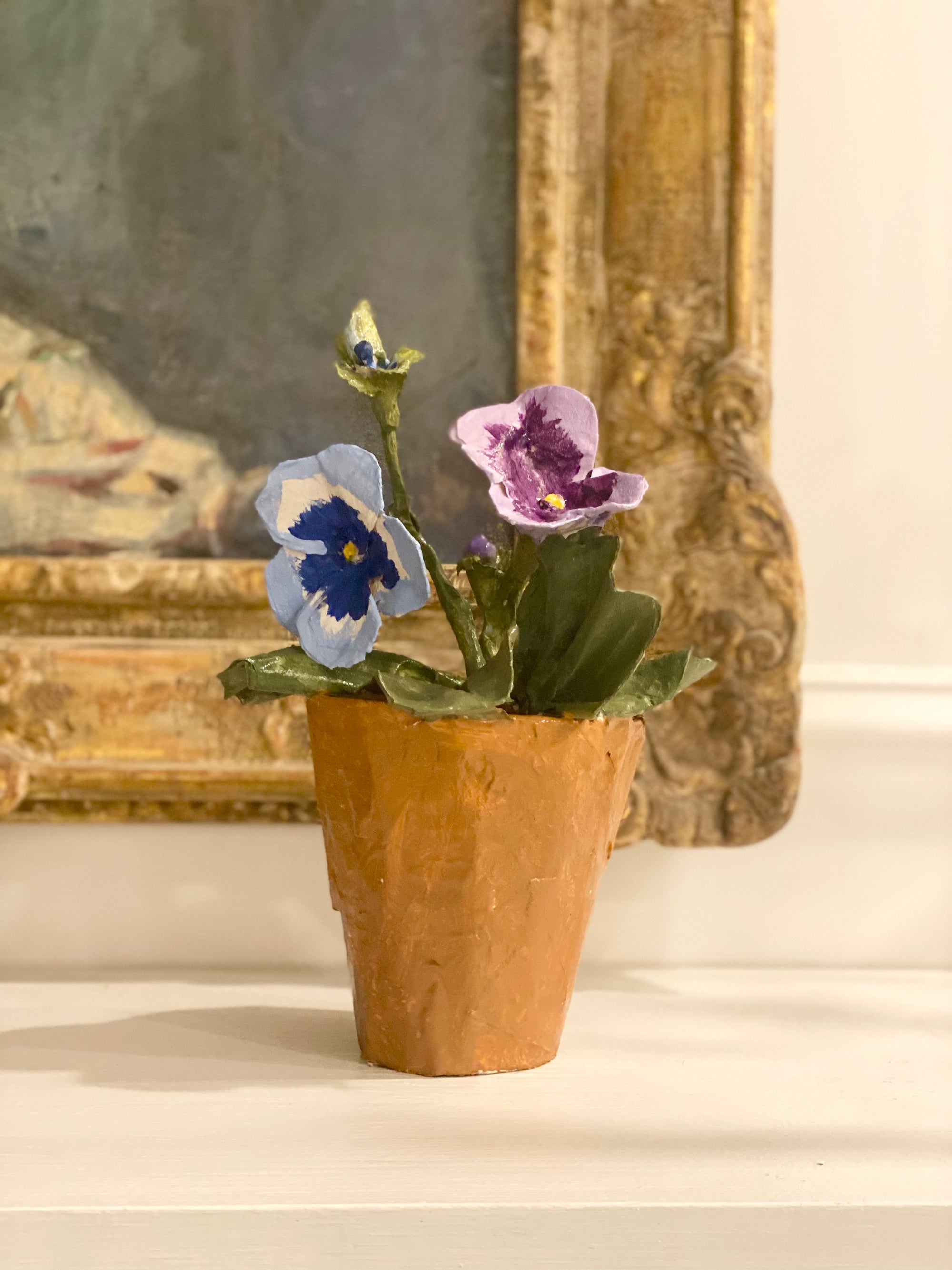 Dana Gibson Potted Primula