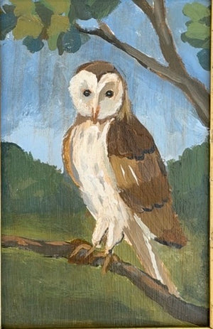 Dana Gibson Barn Owl