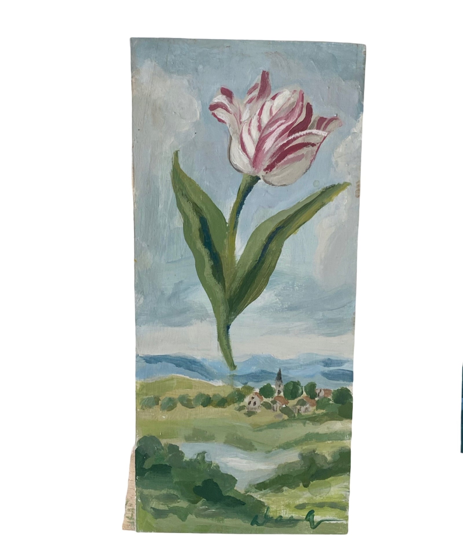 Dana Gibson Pink Tulip Over Grasmere