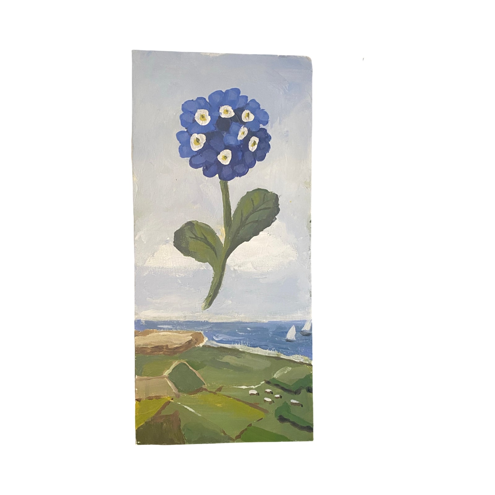 Dana Gibson  Blue Primula Over Cliffs