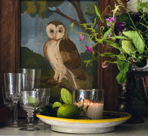 Dana Gibson Barn Owl