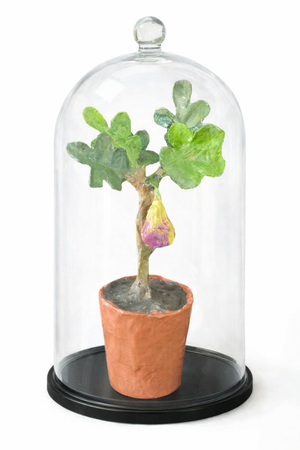 Dana Gibson Potted Fig