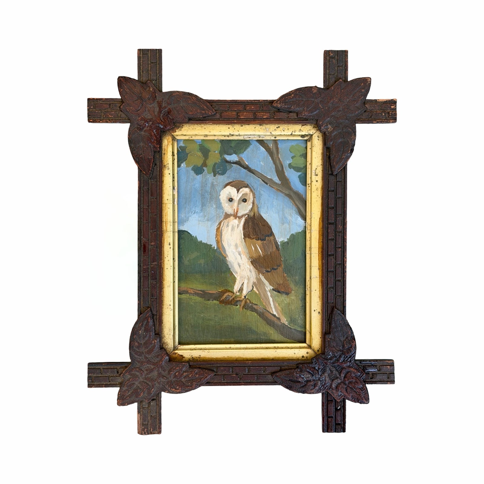 Dana Gibson Barn Owl