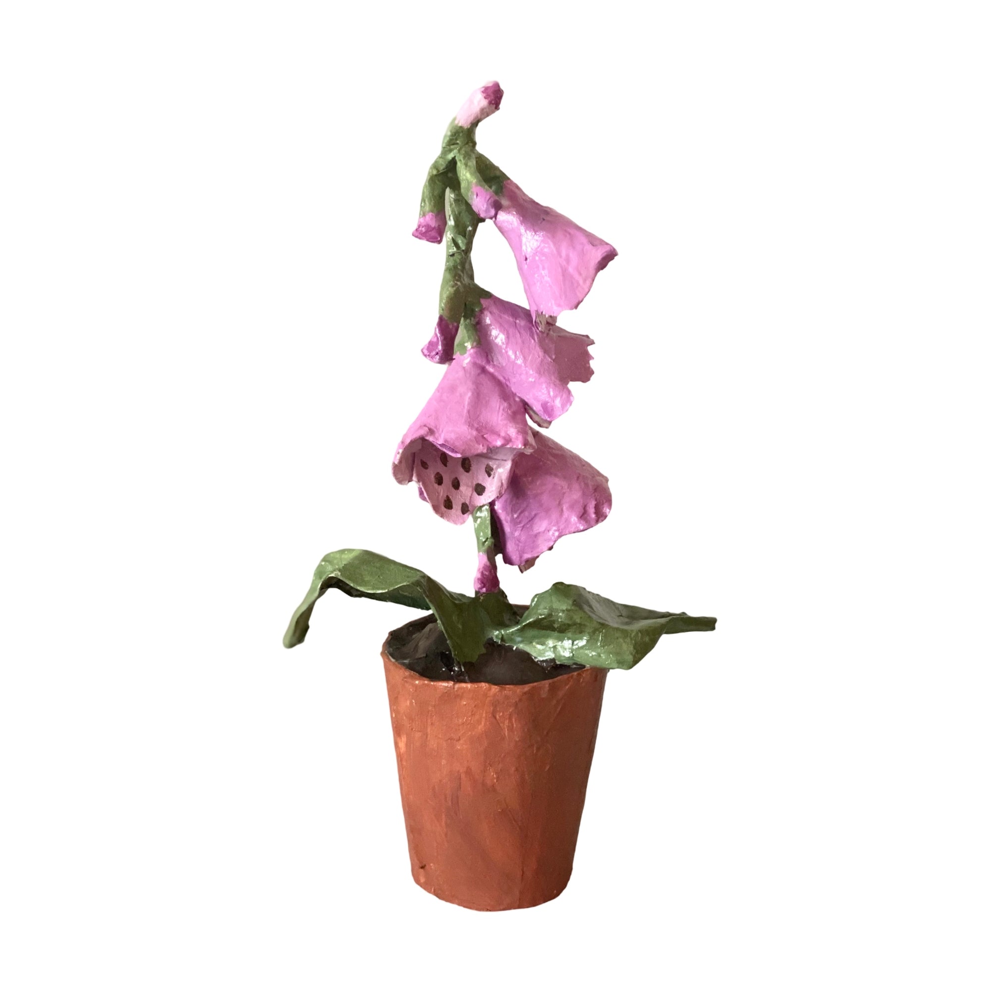 Dana Gibson Potted Foxglove