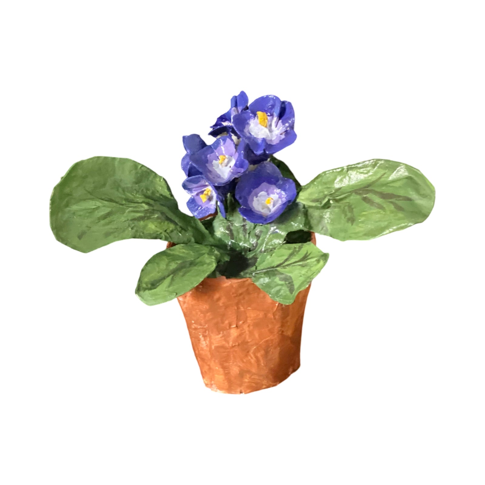 Dana Gibson Potted Primula