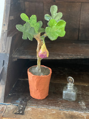 Dana Gibson Potted Fig