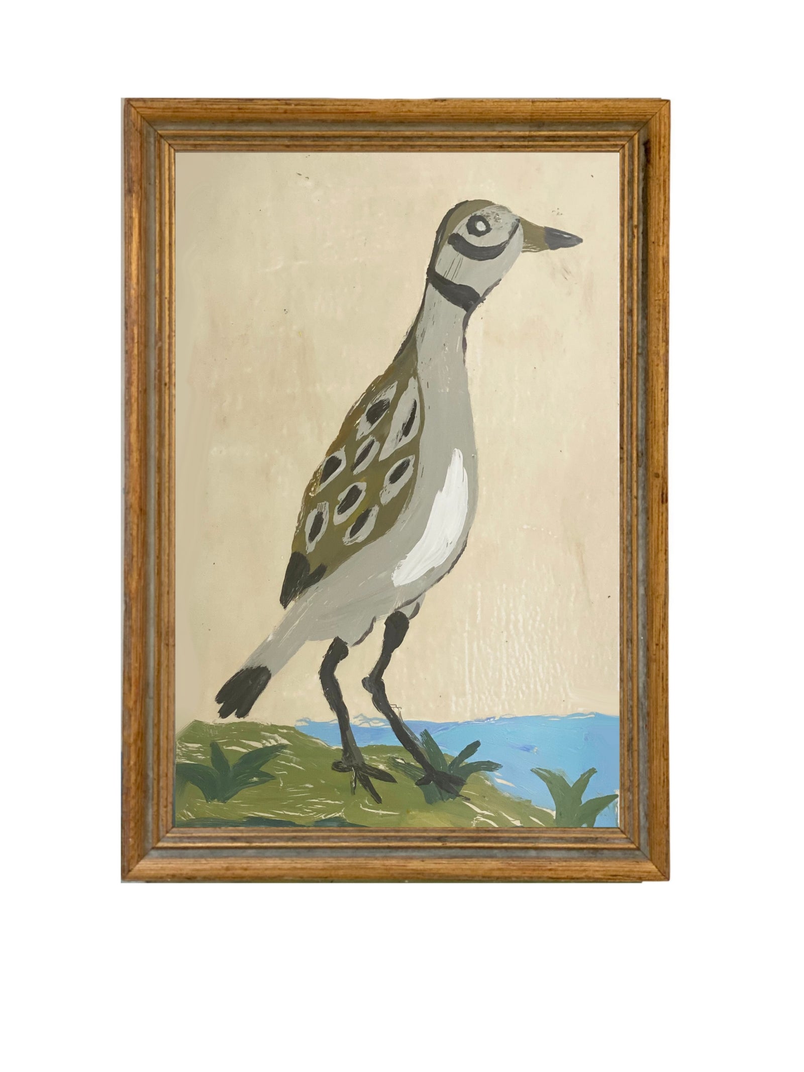 Dana Gibson Shore Bird, Spotted