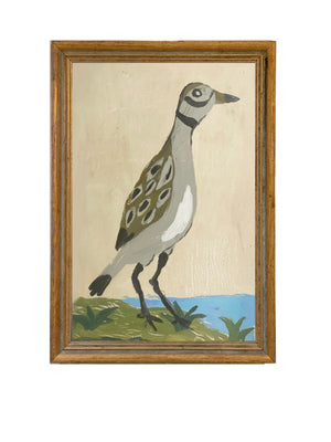 Dana Gibson Shore Bird, Spotted