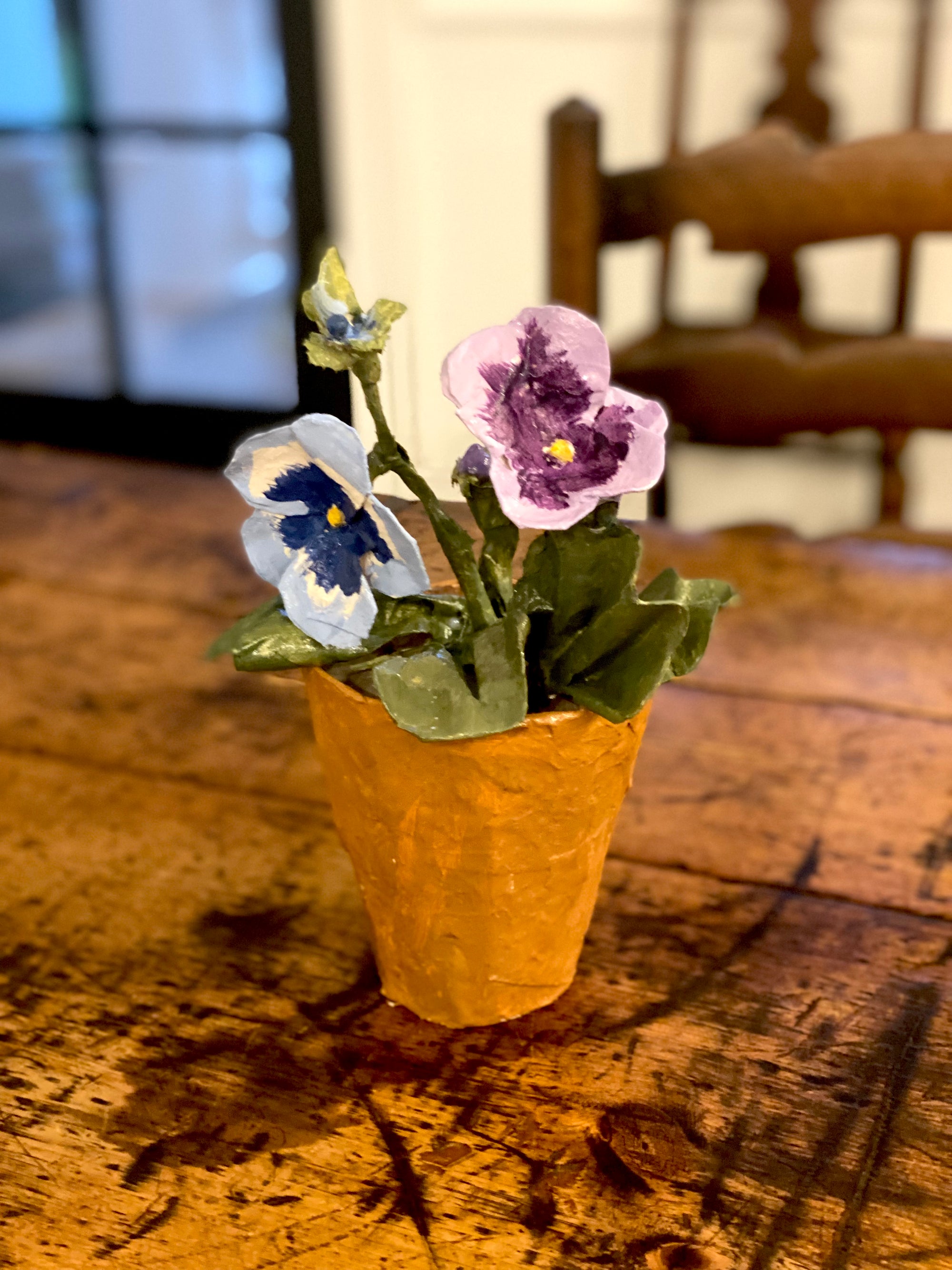 Dana Gibson Potted Primula