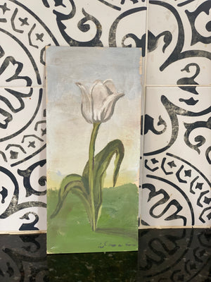Dana Gibson  White Tulip