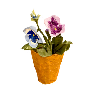 Dana Gibson Potted Primula