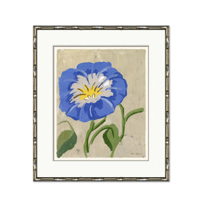 Dana Gibson Morning Glory, Dahlia Series