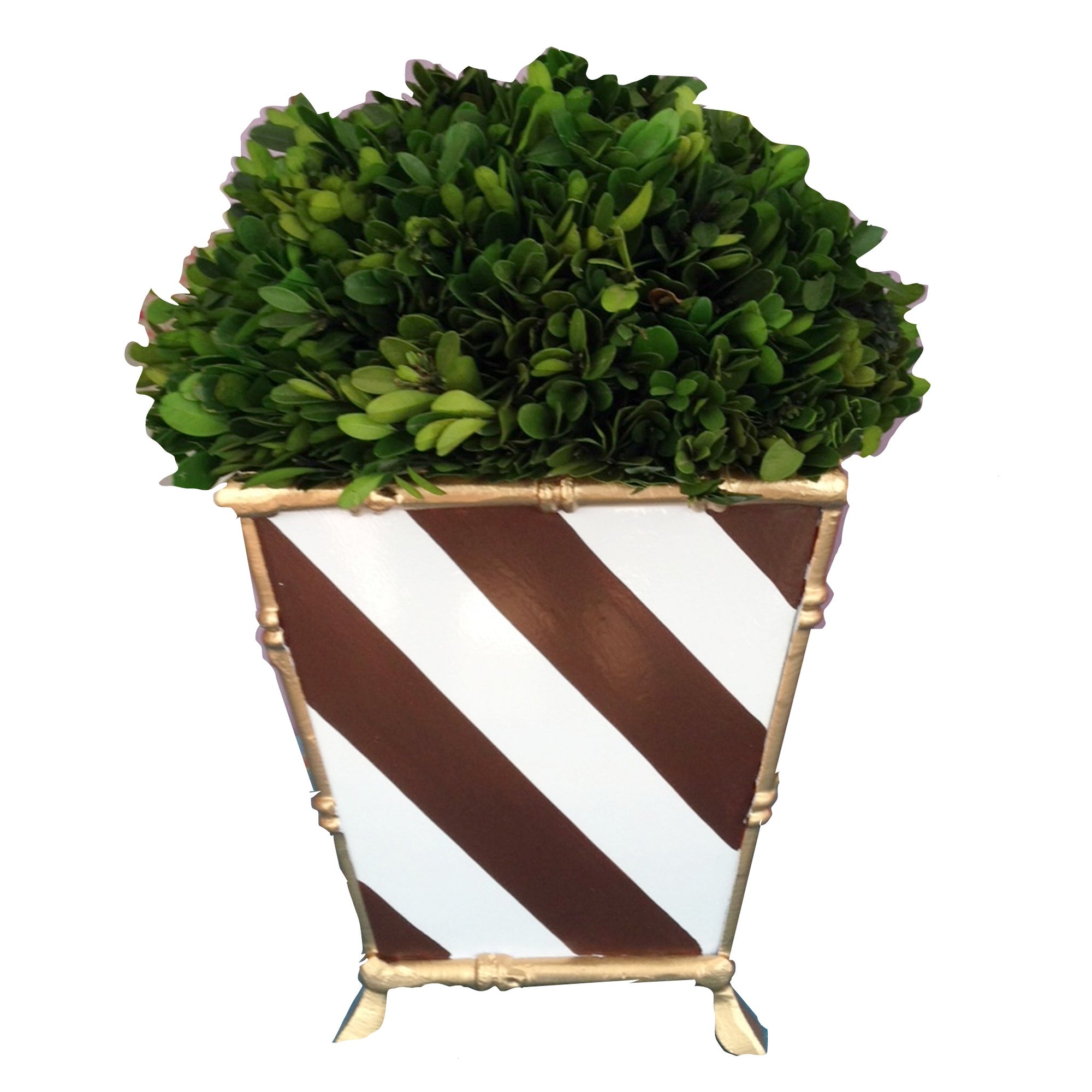 Bamboo in Brown Stripe Cachepot by Dana Gibson 2ndQ
