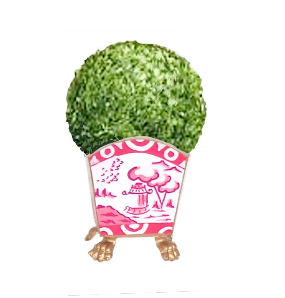 Dana Ginson Canton in Pink Cachepot
