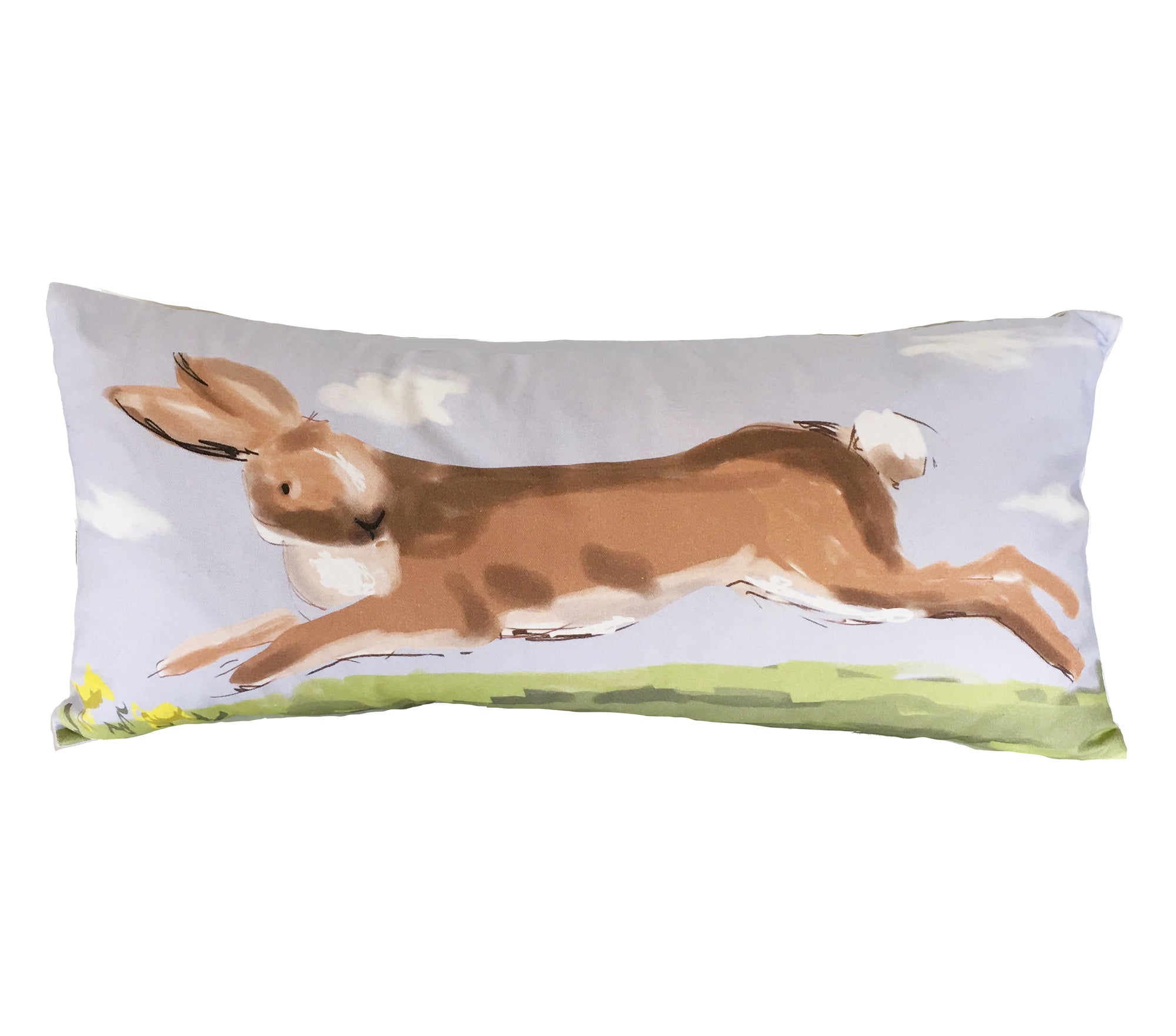 Dana Gibson Rabbit Lumbar