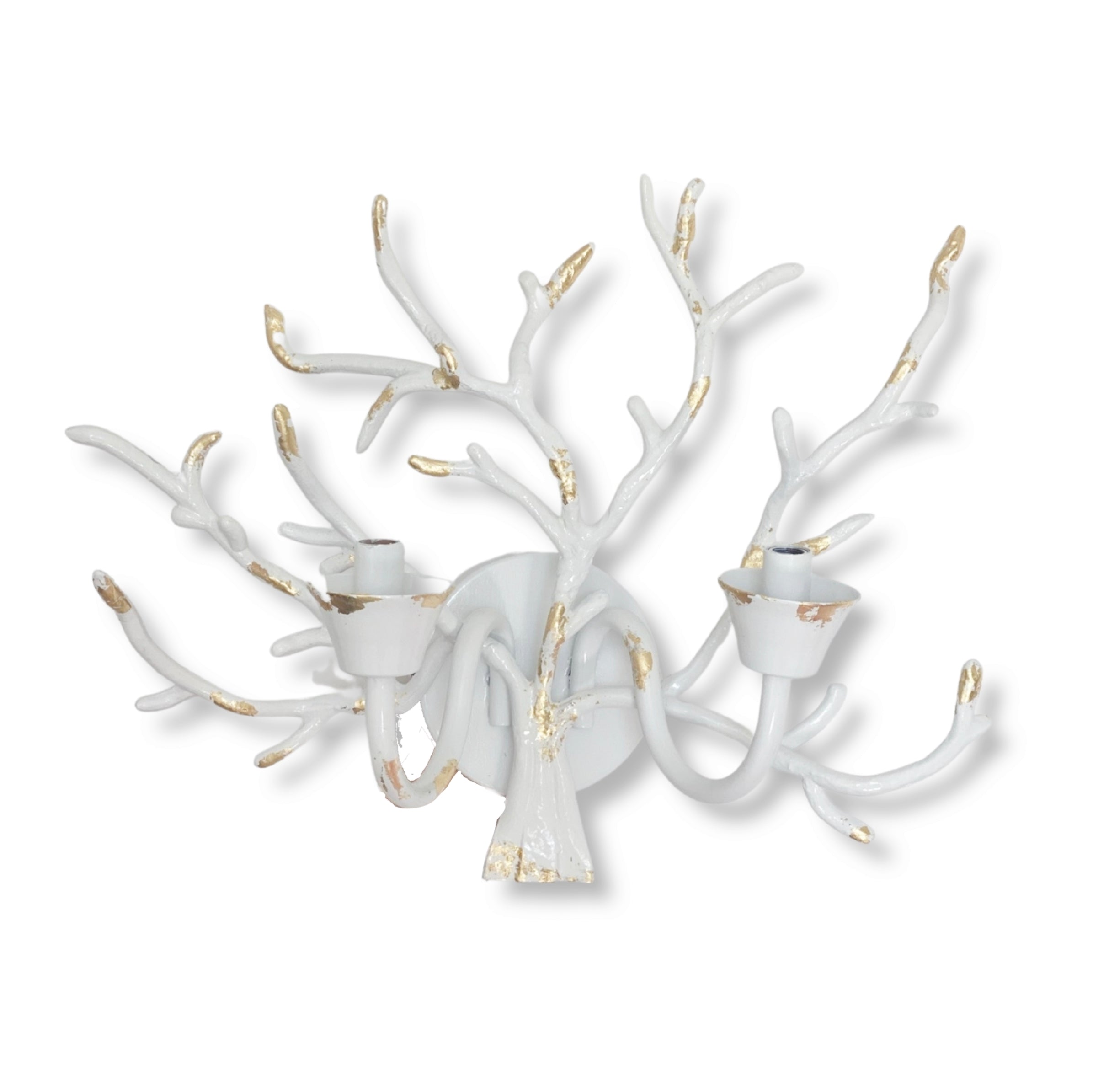 White Coral Sconce