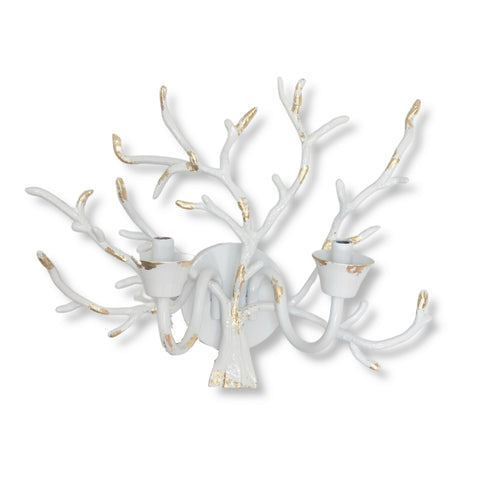 White Coral Sconce